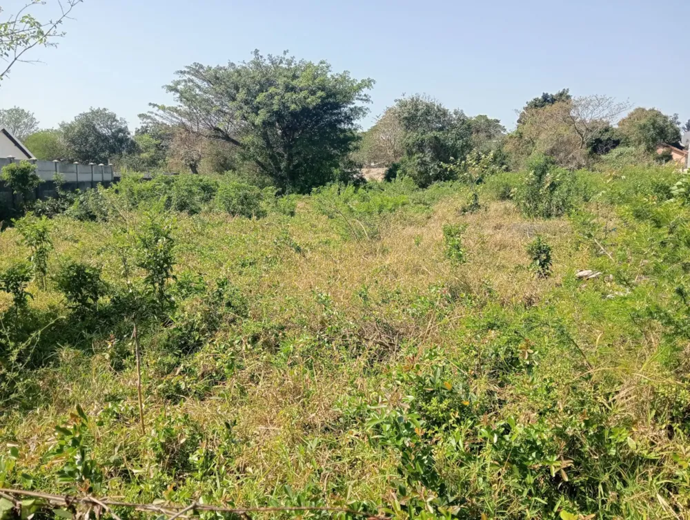 Residential vacant land for sale in Birdswood - 1RY1672312 Residential vacant land for sale in Birdswood - 1RY1672312