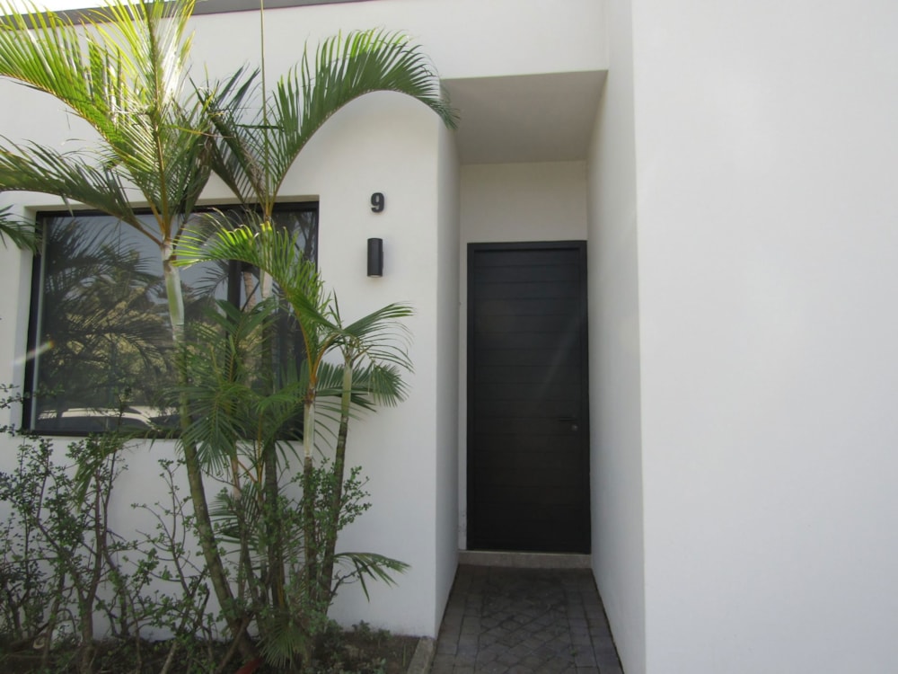 Townhouse to rent in Elaleni Coastal Forest Estate - 1BD1751152
