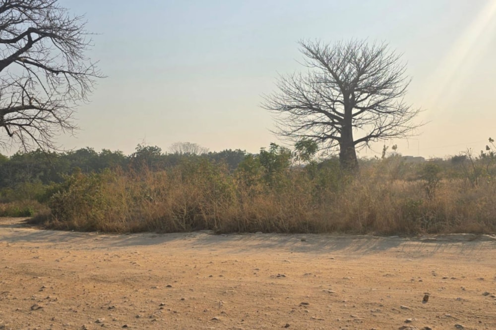 Vacant land for investment in Tete, Tete, Mozambique - 3MQ1672346 Vacant land for investment in Tete, Tete, Mozambique - 3MQ1672346