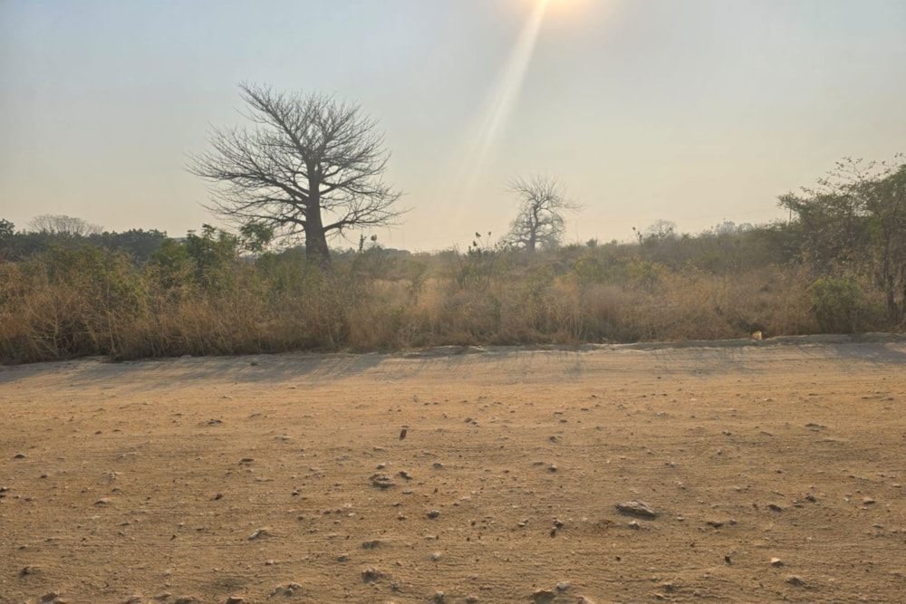 Vacant land for investment in Tete, Tete, Mozambique - 3MQ1672346 Vacant land for investment in Tete, Tete, Mozambique - 3MQ1672346