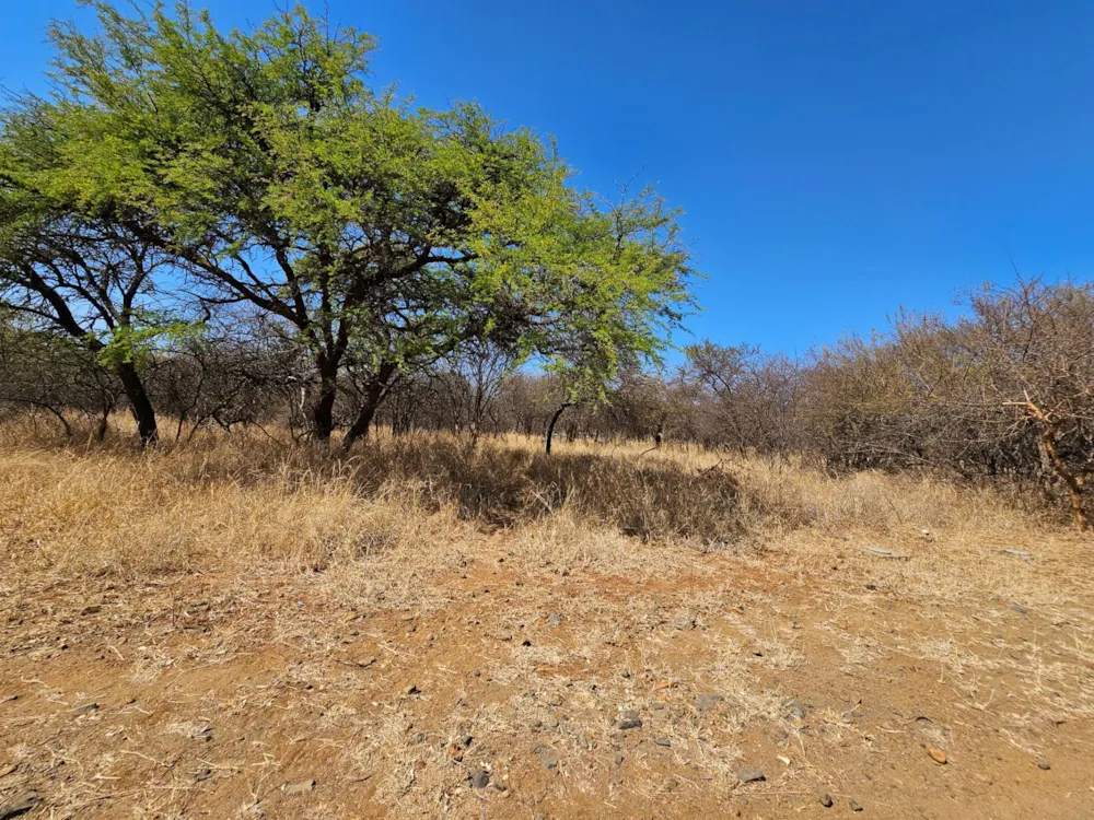 Residential vacant land for sale in Mokopane - 1PS1720707 Residential vacant land for sale in Mokopane - 1PS1720707