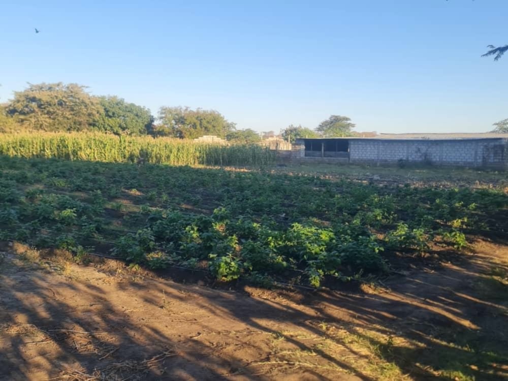 House for sale in Makeni, Zambia - 3ZA1673136