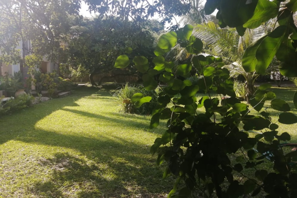 Garden cottage to rent in Vilanculos, Mozambique - 3MQ1673116