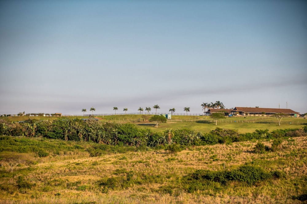 Residential vacant land for sale in Sheffield Beach - 1BD1673144