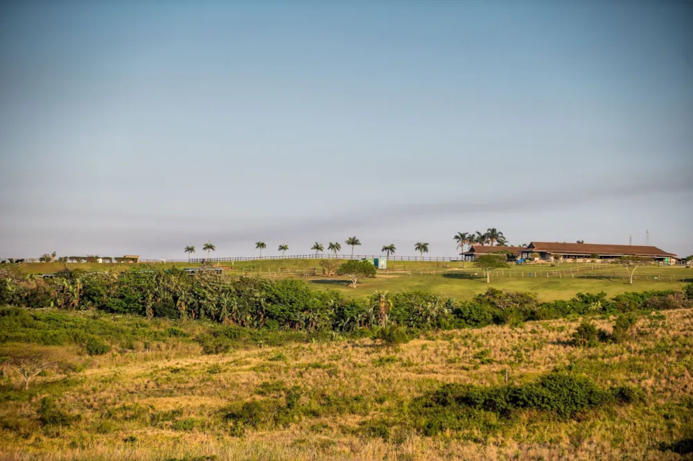 Residential vacant land for sale in Sheffield Beach - 1BD1673144 Residential vacant land for sale in Sheffield Beach - 1BD1673144