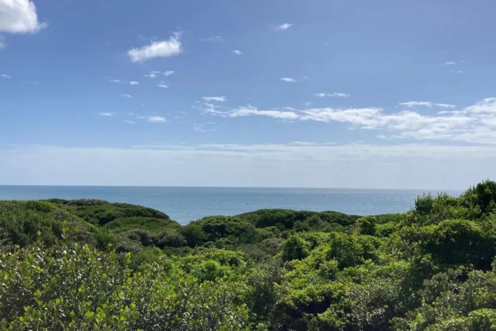 Vacant land for investment in Praia de Macaneta, Mozambique - 3MQ1673157 Vacant land for investment in Praia de Macaneta, Mozambique - 3MQ1673157