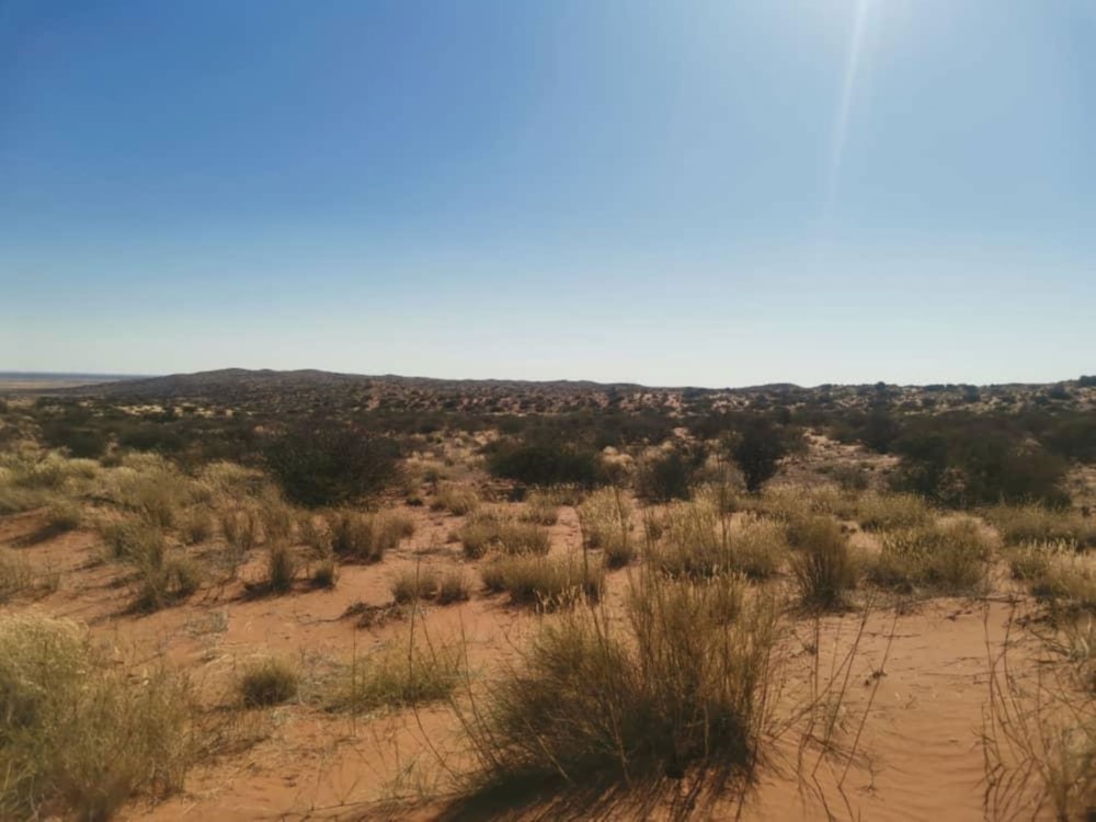 Livestock farm for sale in Keetmanshoop, Namibia - 3NM1673202 Livestock farm for sale in Keetmanshoop, Namibia - 3NM1673202