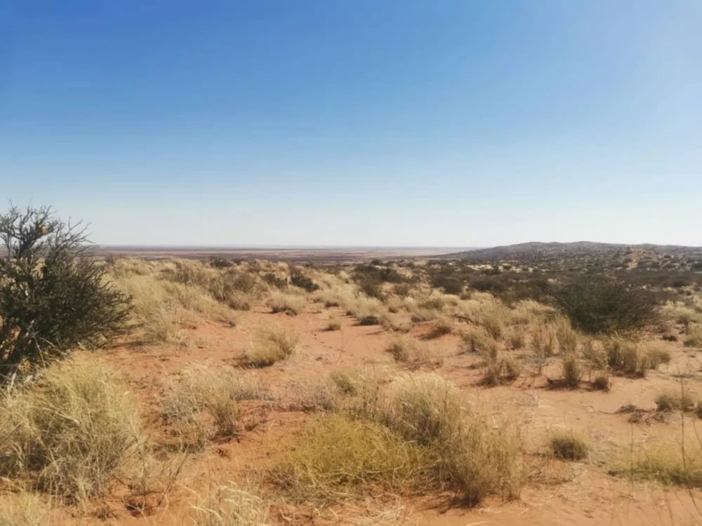 Livestock farm for sale in Keetmanshoop, Namibia - 3NM1673202 Livestock farm for sale in Keetmanshoop, Namibia - 3NM1673202