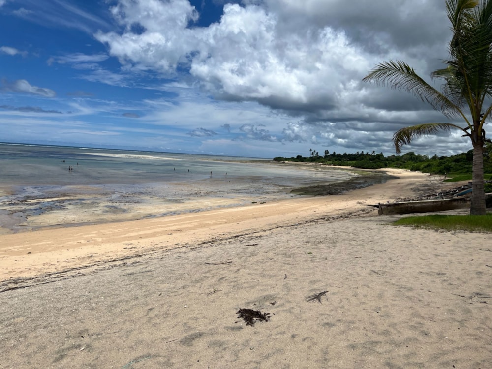 Vacant land for investment in Pemba, Cabo Delgado, Mozambique - 3MQ1673258