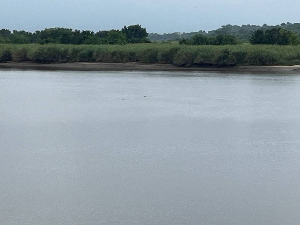 Farm vacant land for investment in Chokwé, Mozambique - 3MQ1673598