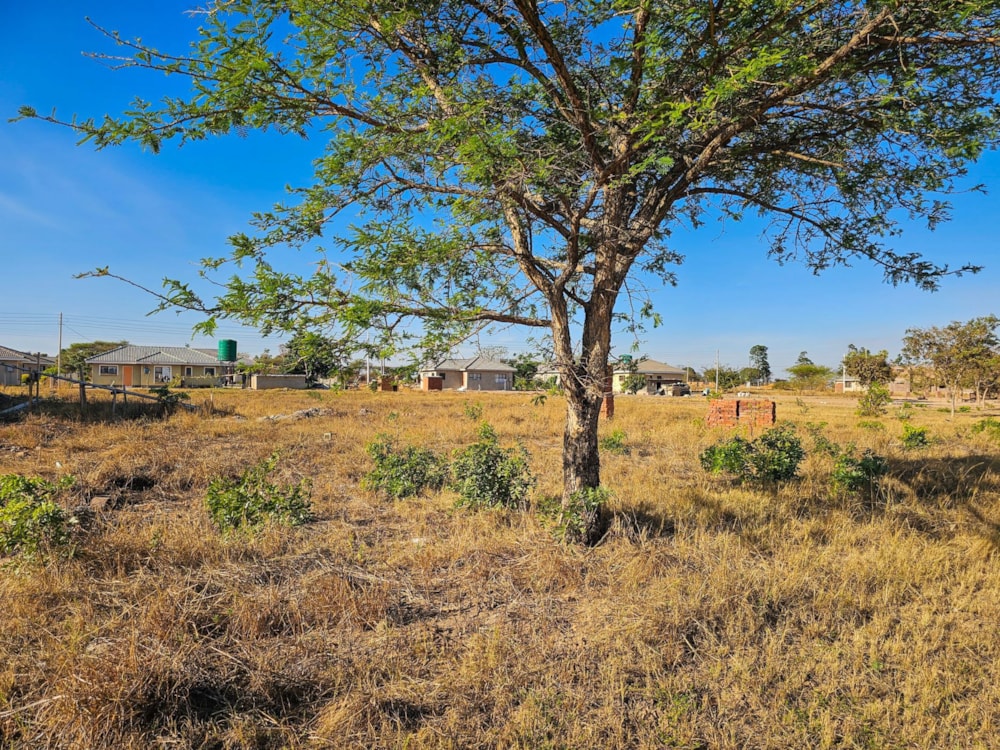 Residential vacant land sold in Arlington, Zimbabwe - 3ZB1673952 Residential vacant land sold in Arlington, Zimbabwe - 3ZB1673952