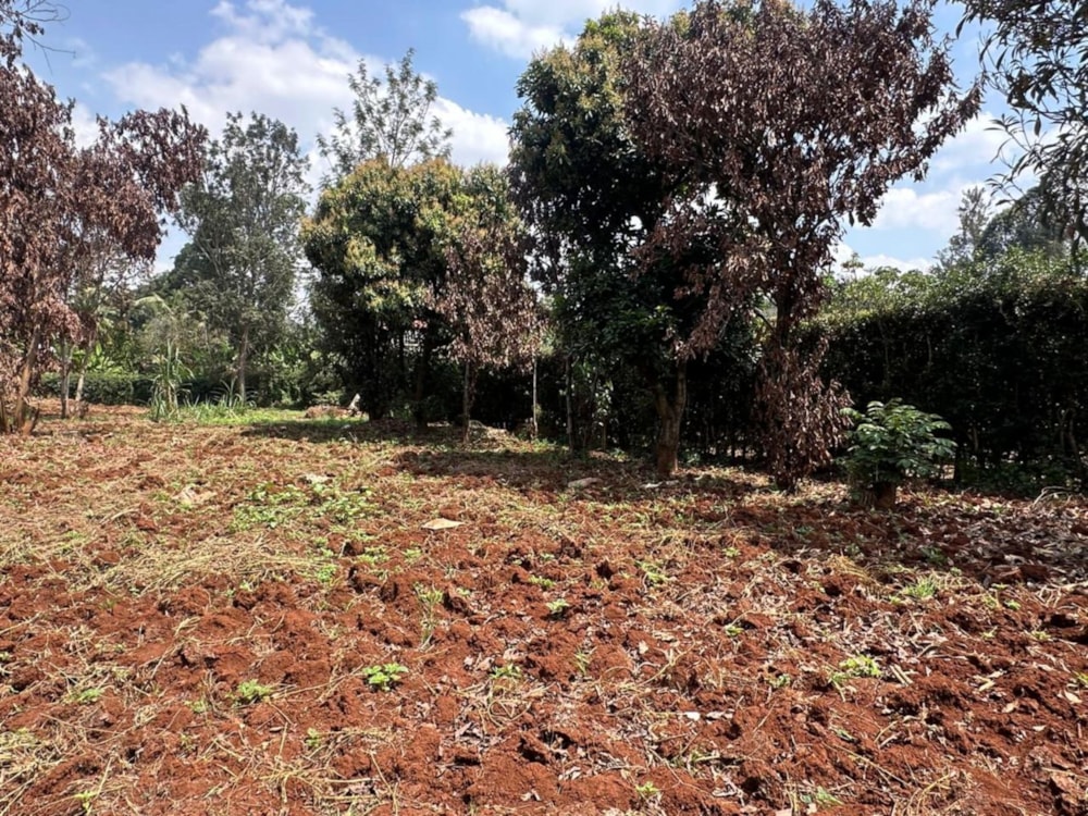 Vacant land for sale in Kiambu Road, Kenya - 3KE1705645 Vacant land for sale in Kiambu Road, Kenya - 3KE1705645