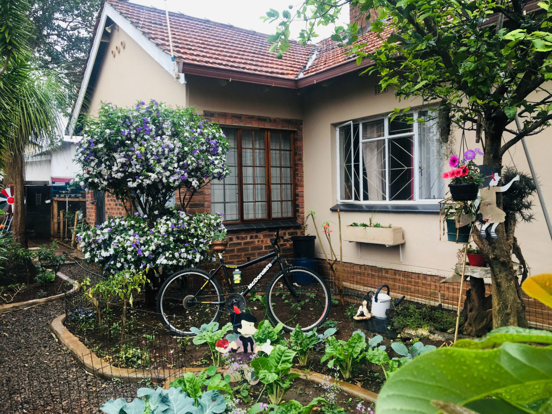 House for sale in Pietermaritzburg Central - 1PM1674434