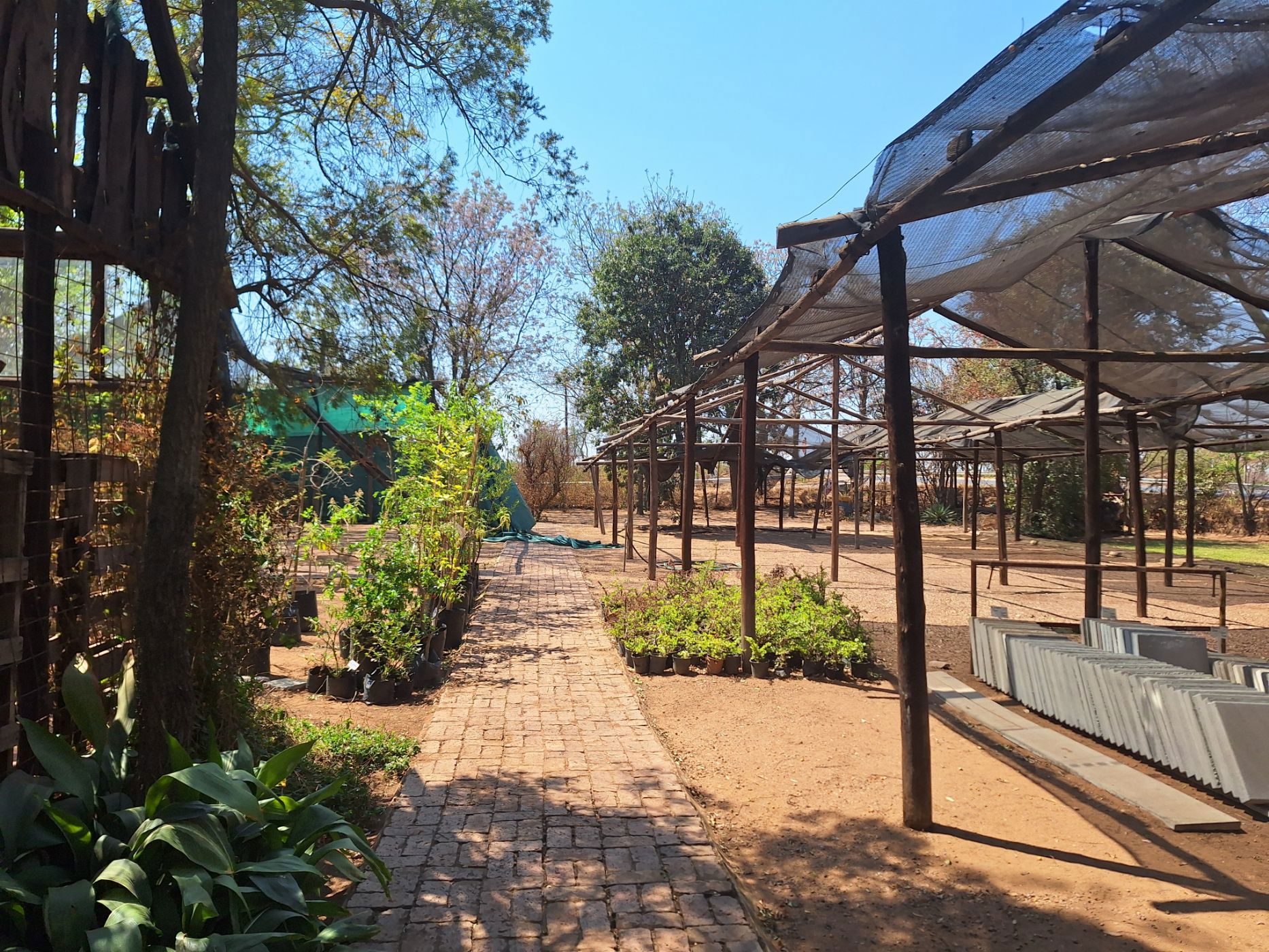 Vacant land for sale in Modimolle (Nylstroom) - 1MDM1674857