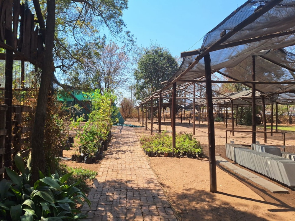 Vacant land for sale in Modimolle (Nylstroom) - 1MDM1674857