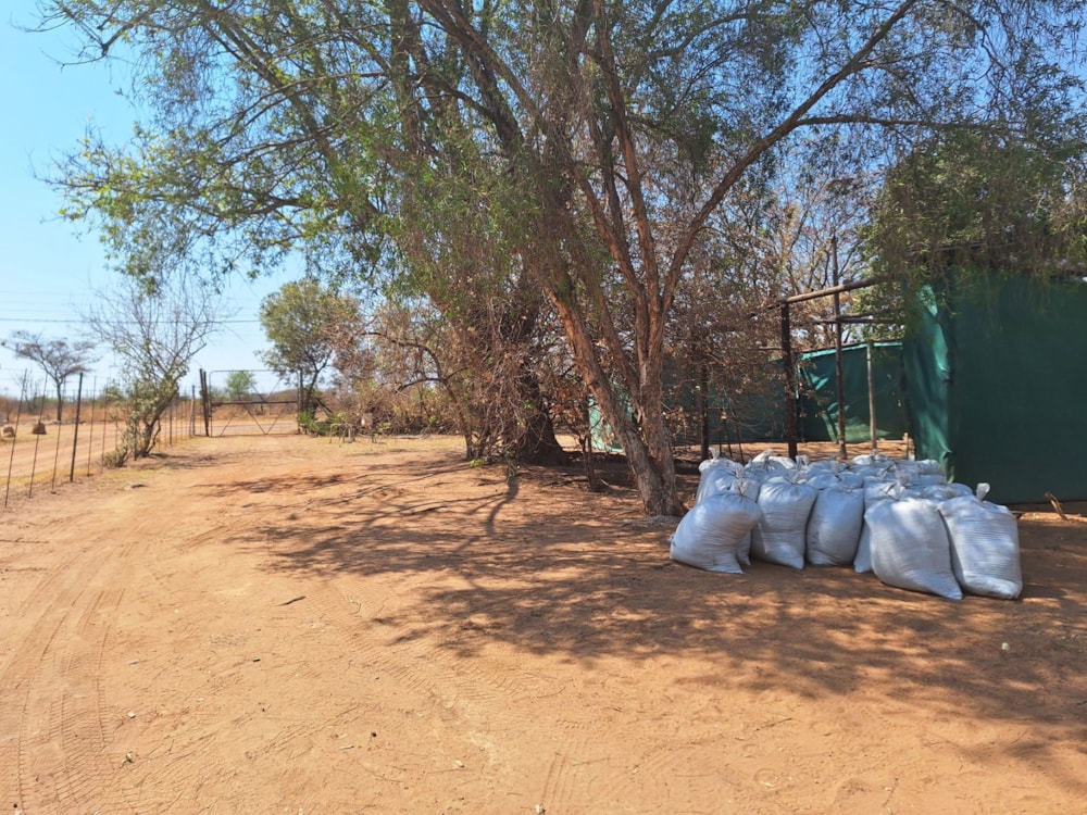 Vacant land for sale in Modimolle (Nylstroom) - 1MDM1674857