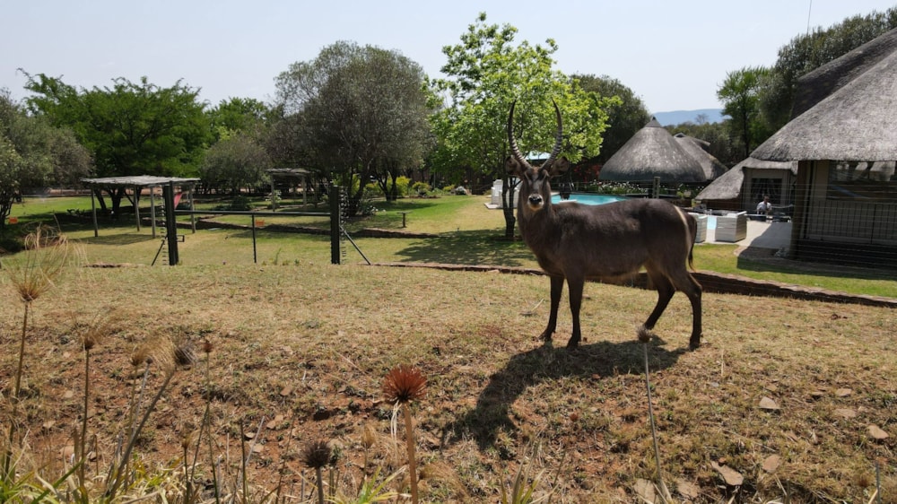 Game farm for sale in Rustenburg - 1RU1675410 Game farm for sale in Rustenburg - 1RU1675410