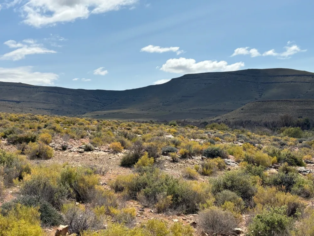 Livestock farm sold in Laingsburg Rural  - 1KK1675201
