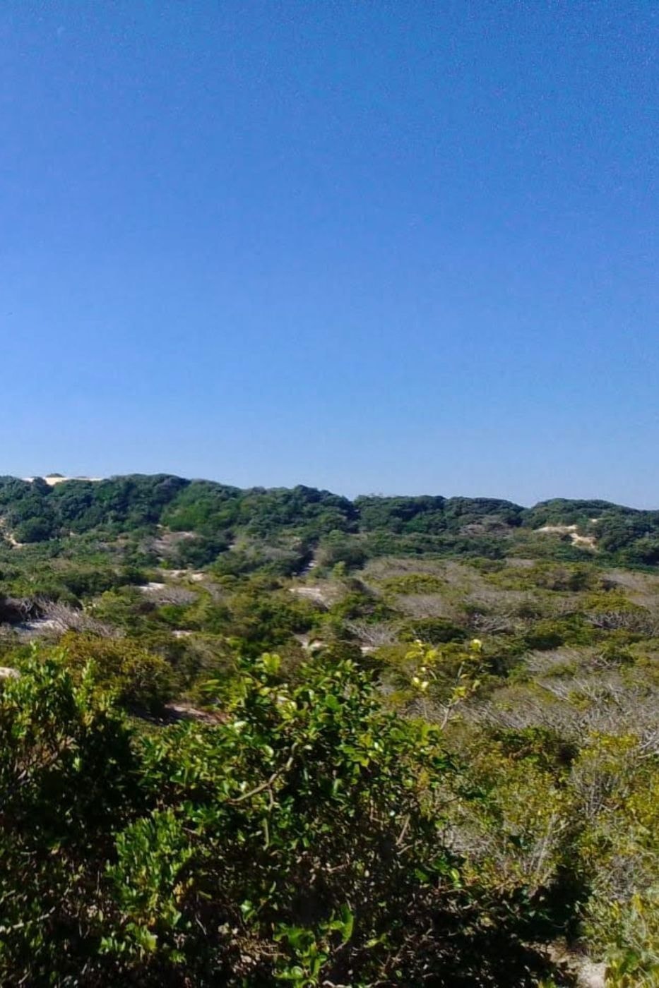 Vacant land for investment in Praia de Macaneta, Mozambique - 3MQ1675206 Vacant land for investment in Praia de Macaneta, Mozambique - 3MQ1675206
