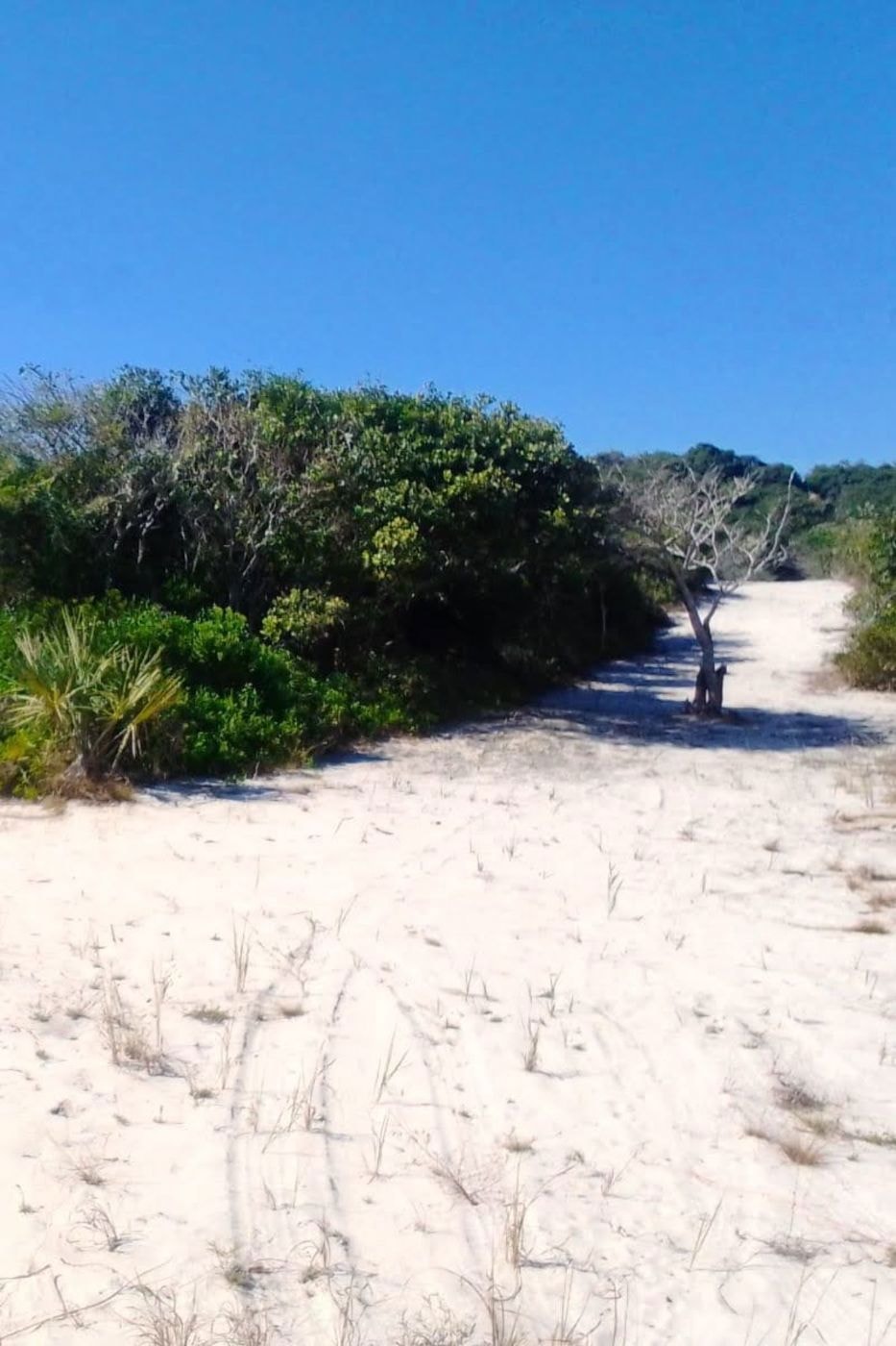 Vacant land for investment in Praia de Macaneta, Mozambique - 3MQ1675206 Vacant land for investment in Praia de Macaneta, Mozambique - 3MQ1675206