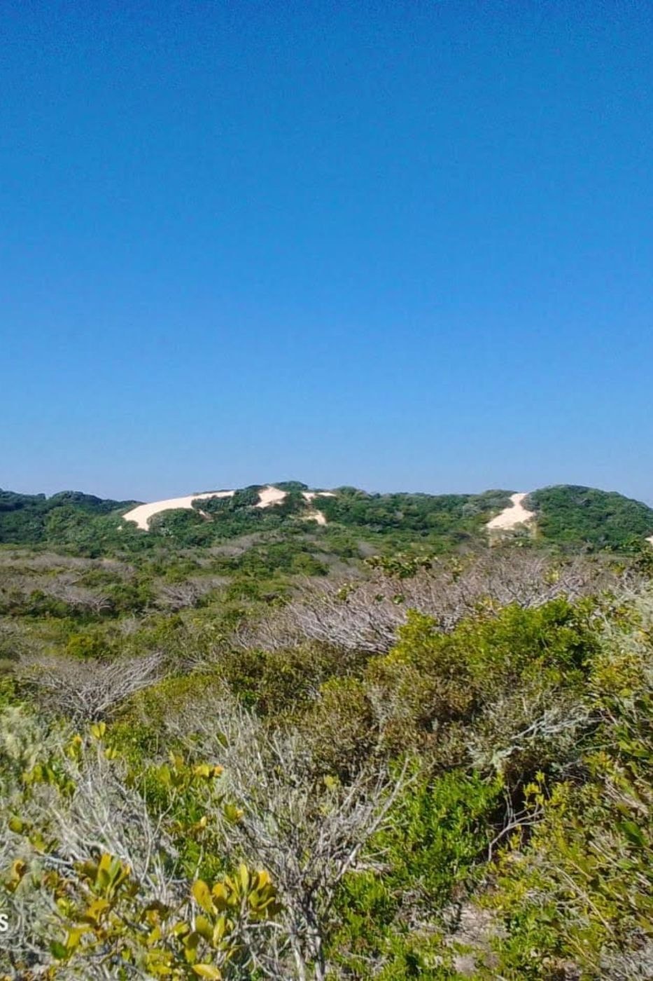 Vacant land for investment in Praia de Macaneta, Mozambique - 3MQ1675206 Vacant land for investment in Praia de Macaneta, Mozambique - 3MQ1675206