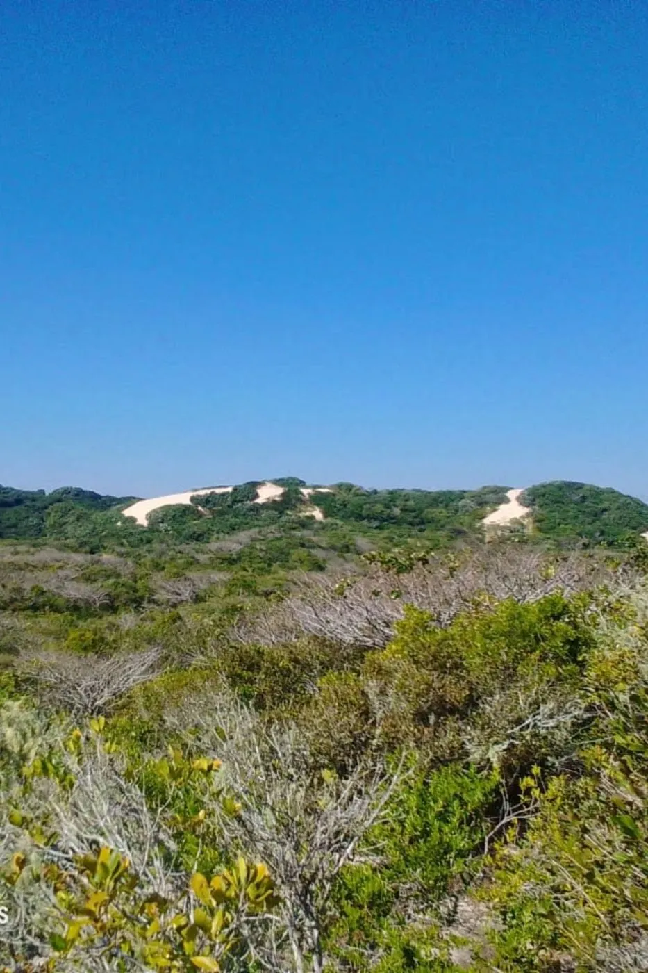 Vacant land for investment in Praia de Macaneta, Mozambique - 3MQ1675206 Vacant land for investment in Praia de Macaneta, Mozambique - 3MQ1675206