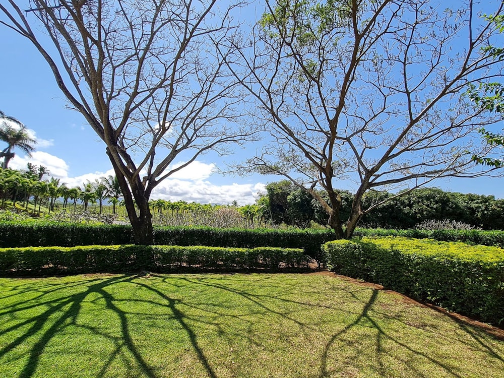 Golf estate house for sale in Bel Ombre, Mauritius - MUR1675369