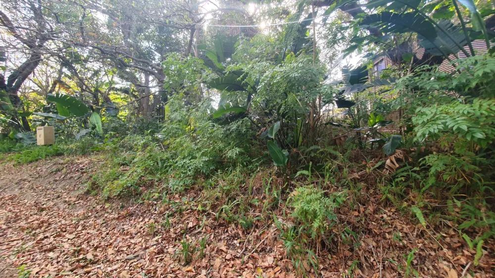 Residential vacant land for sale in Leisure Bay - 1PD1027247 Residential vacant land for sale in Leisure Bay - 1PD1027247