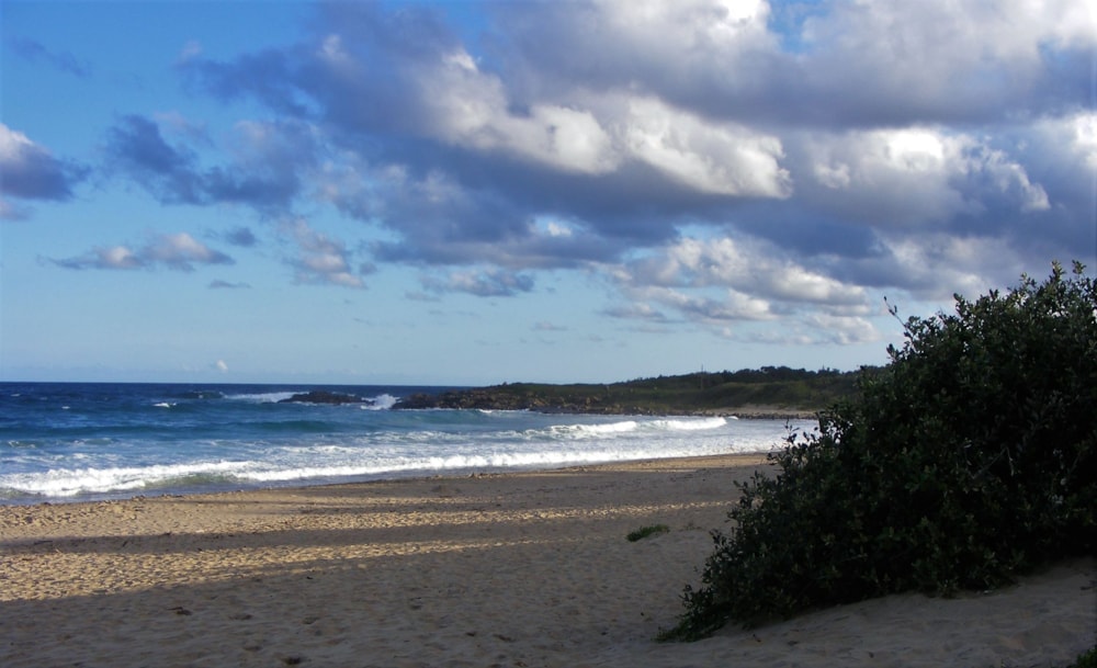 Residential vacant land for sale in Leisure Bay - 1PD1027247 Residential vacant land for sale in Leisure Bay - 1PD1027247