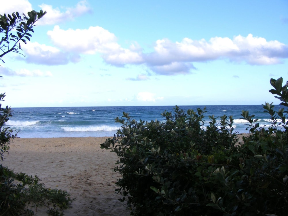 Residential vacant land for sale in Leisure Bay - 1PD1027247 Residential vacant land for sale in Leisure Bay - 1PD1027247