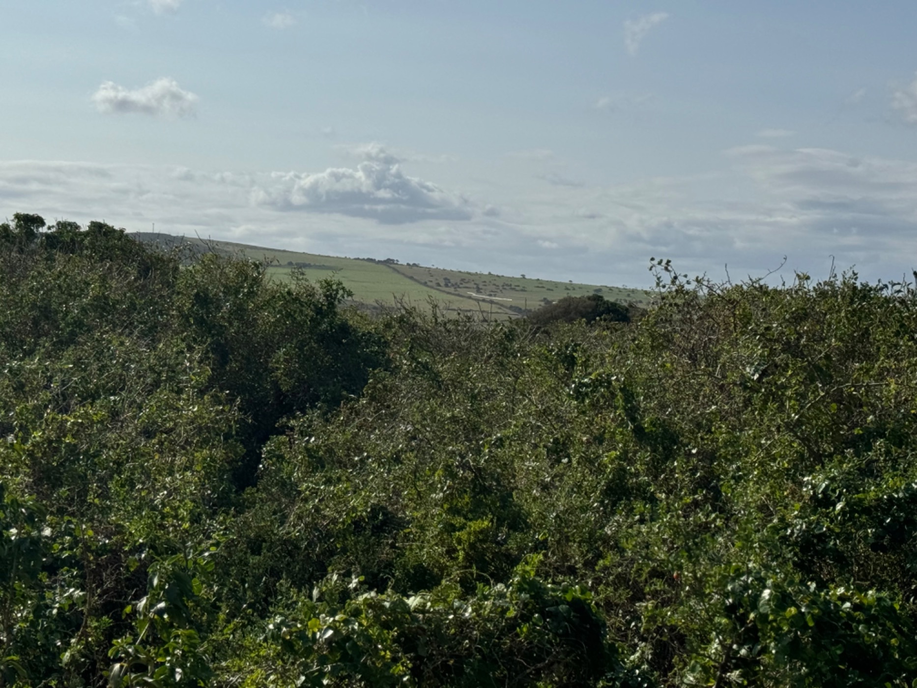 Vacant land for sale in Boknesstrand - 1KO1724574