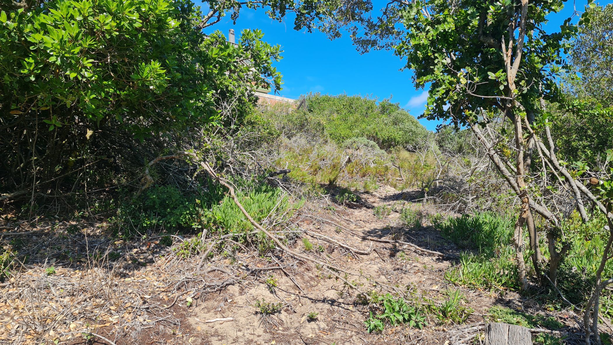 Residential vacant land for sale in Paradise Beach, Jeffreys Bay - 1JF1672769