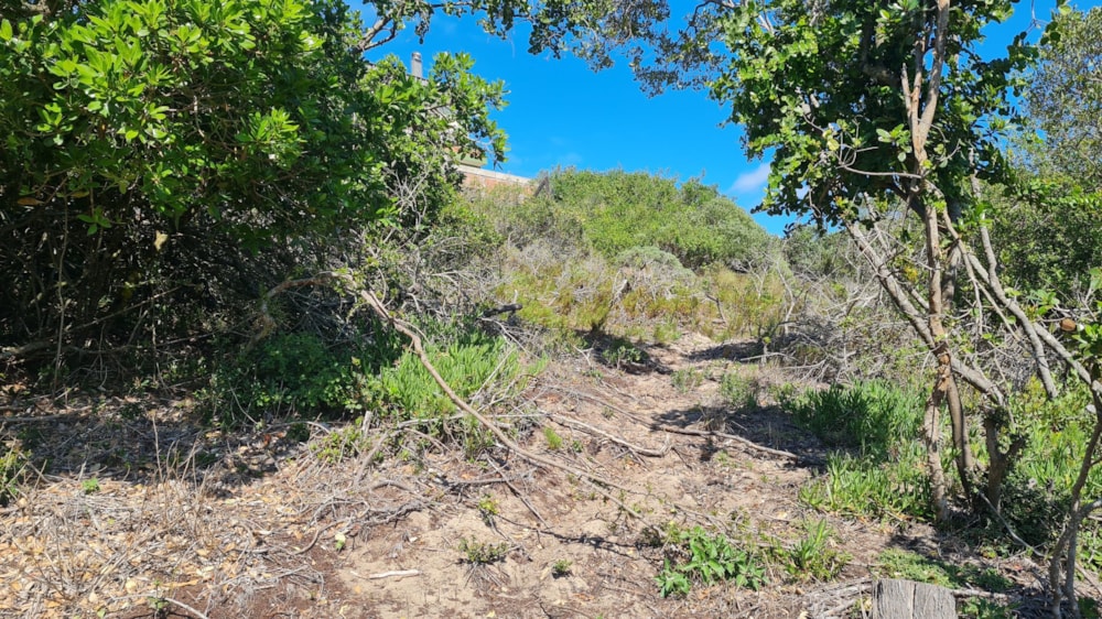 Residential vacant land for sale in Paradise Beach, Jeffreys Bay - 1JF1672769