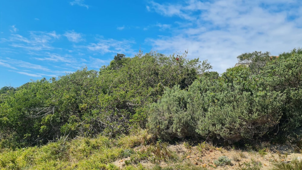 Residential vacant land for sale in Paradise Beach, Jeffreys Bay - 1JF1672769