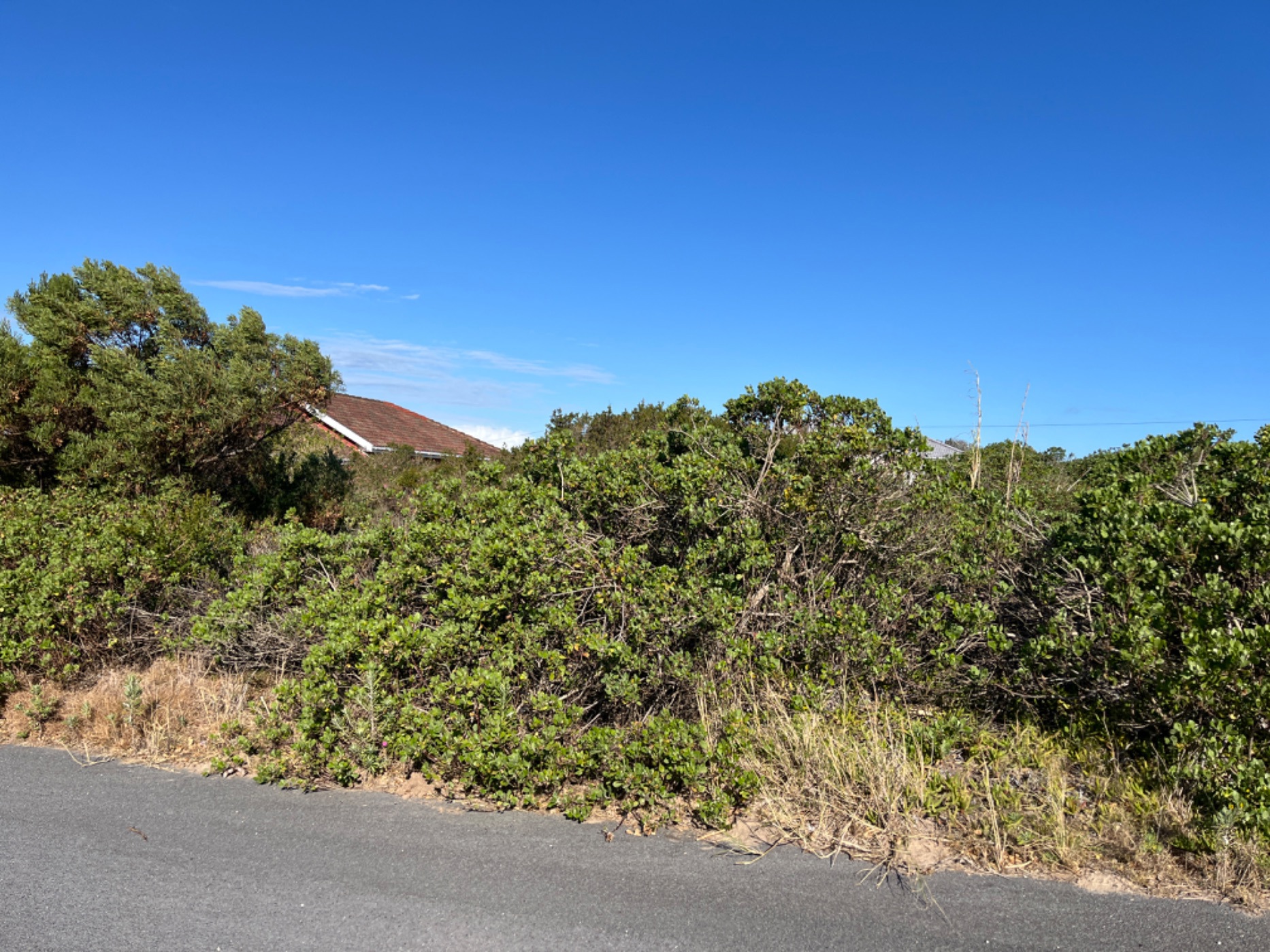 Residential vacant land for sale in Emerald Heights - 1PF1672688