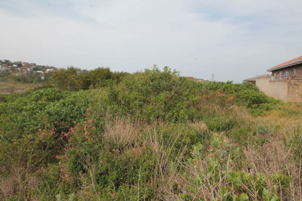 Vacant land for sale in Forest Downs - 1PF1674993