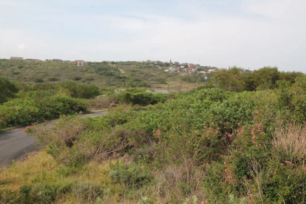 Vacant land for sale in Forest Downs - 1PF1674993