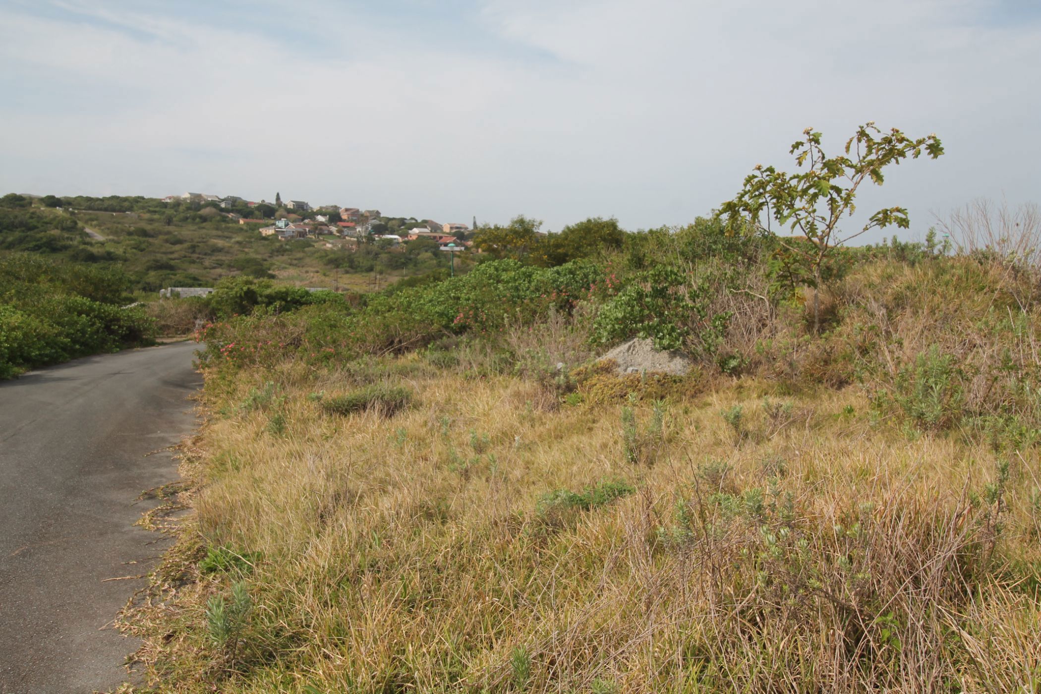 Vacant land for sale in Forest Downs - 1PF1674993