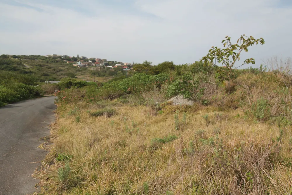 Vacant land for sale in Forest Downs - 1PF1674993
