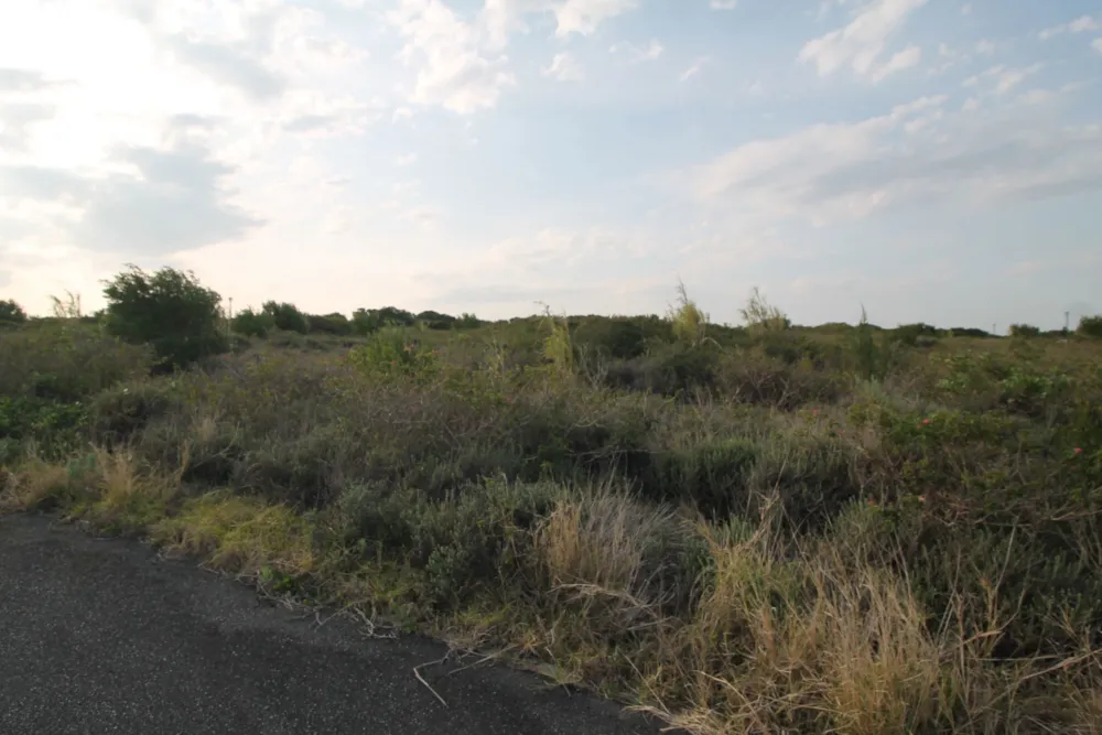 Vacant land for sale in Forest Downs - 1PF1674811