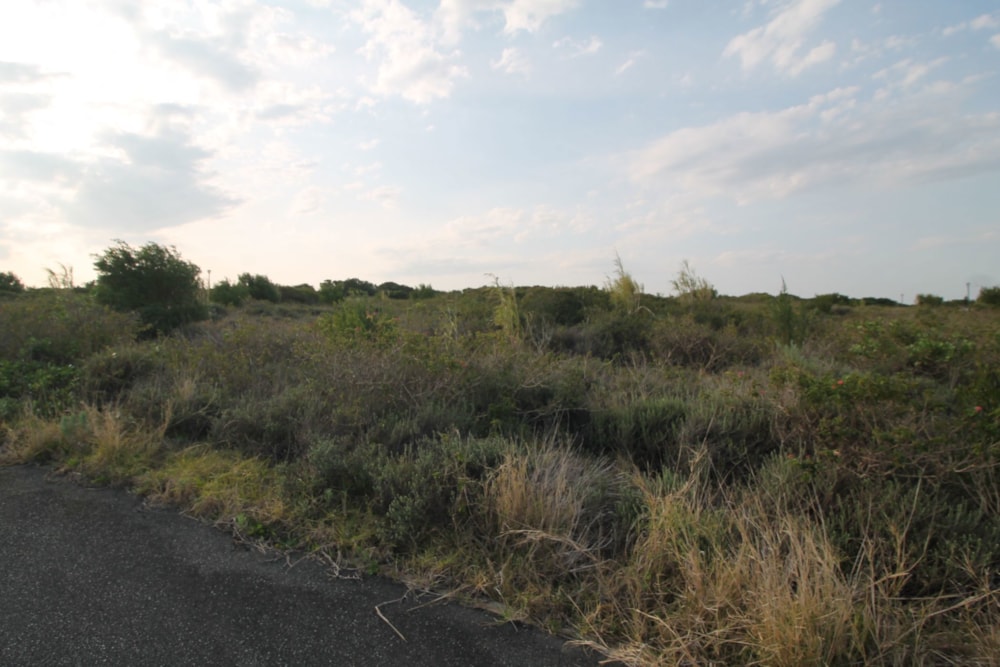 Vacant land for sale in Forest Downs - 1PF1674811