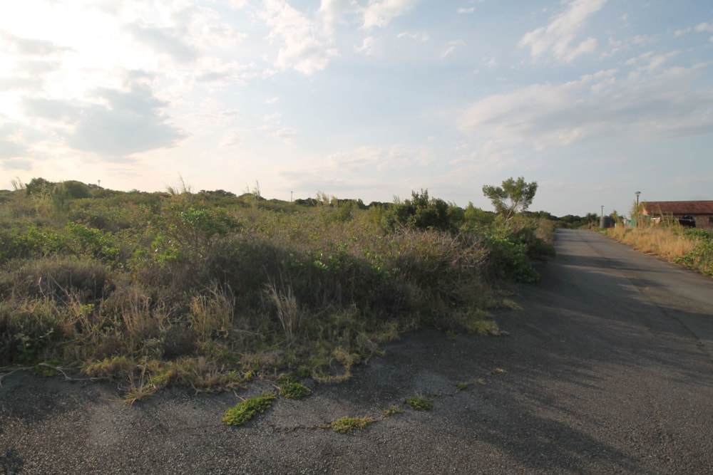 Vacant land for sale in Forest Downs - 1PF1674811