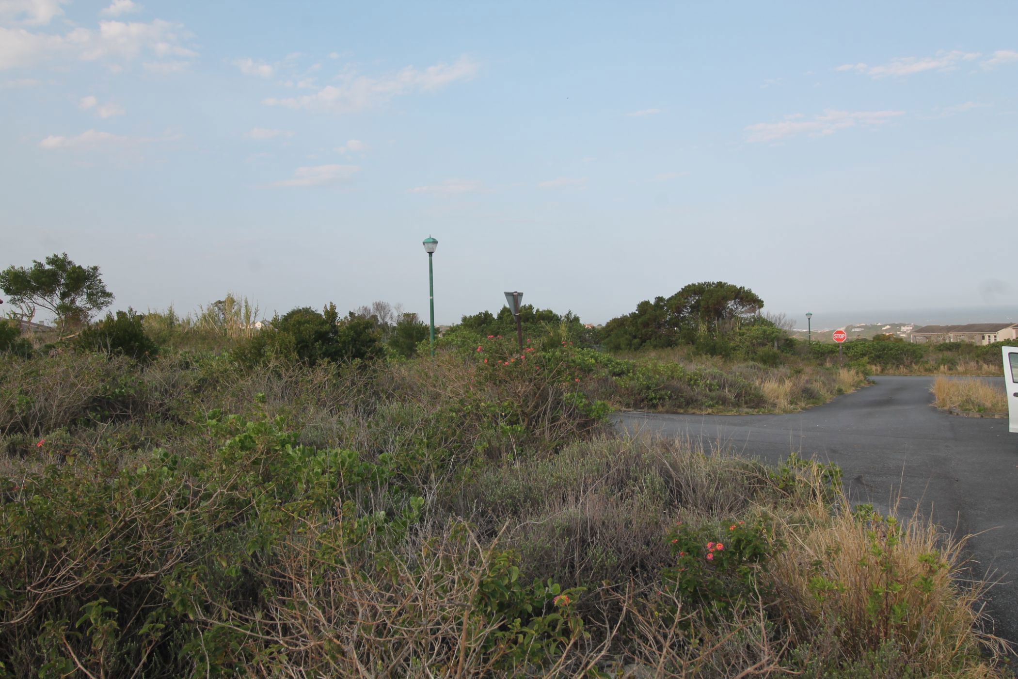 Vacant land for sale in Forest Downs - 1PF1674811