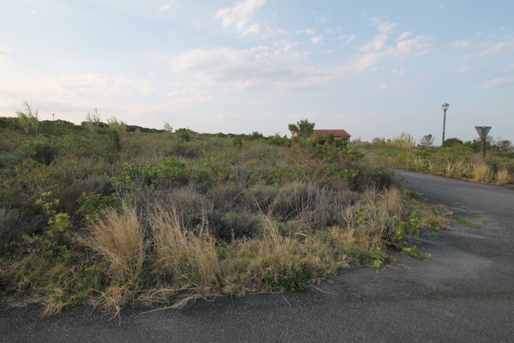 Vacant land for sale in Forest Downs - 1PF1674811