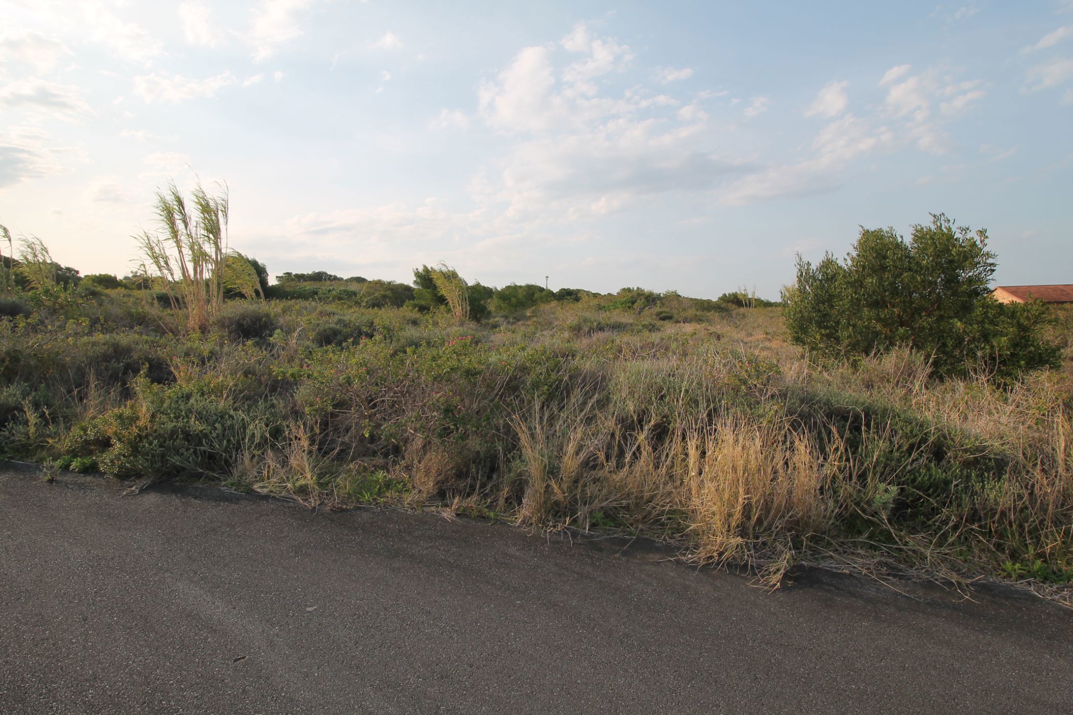 Vacant land sold in Forest Downs - 1PF1674812