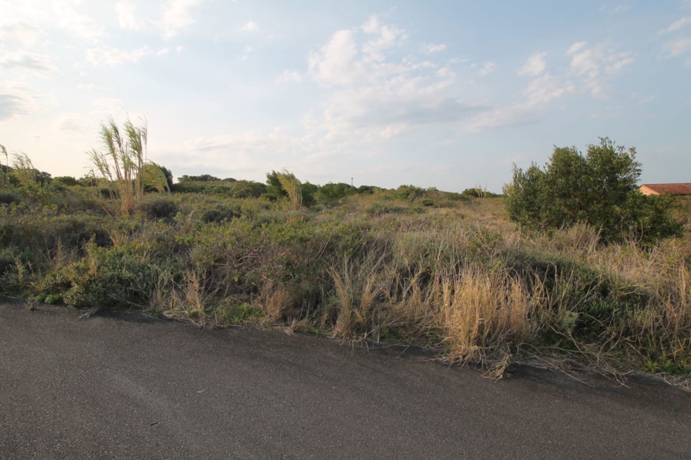 Vacant land sold in Forest Downs - 1PF1674812 Vacant land sold in Forest Downs - 1PF1674812