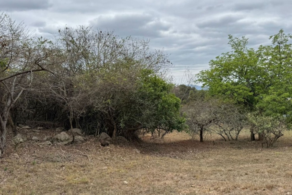 Vacant land for sale in The Rest - 1NS1677740