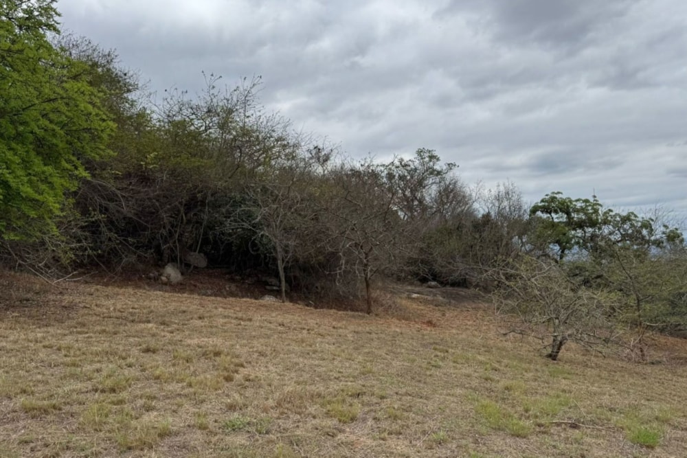 Vacant land for sale in The Rest - 1NS1677740