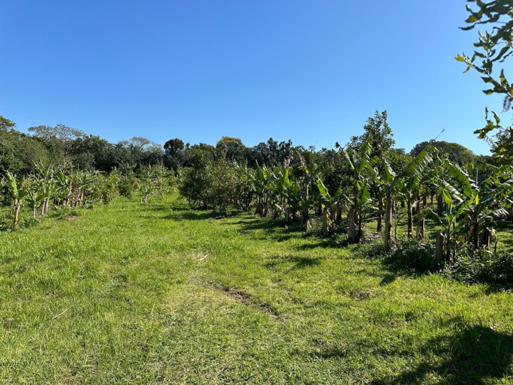 House for sale in Banners Rest - 1PD1676732 House for sale in Banners Rest - 1PD1676732