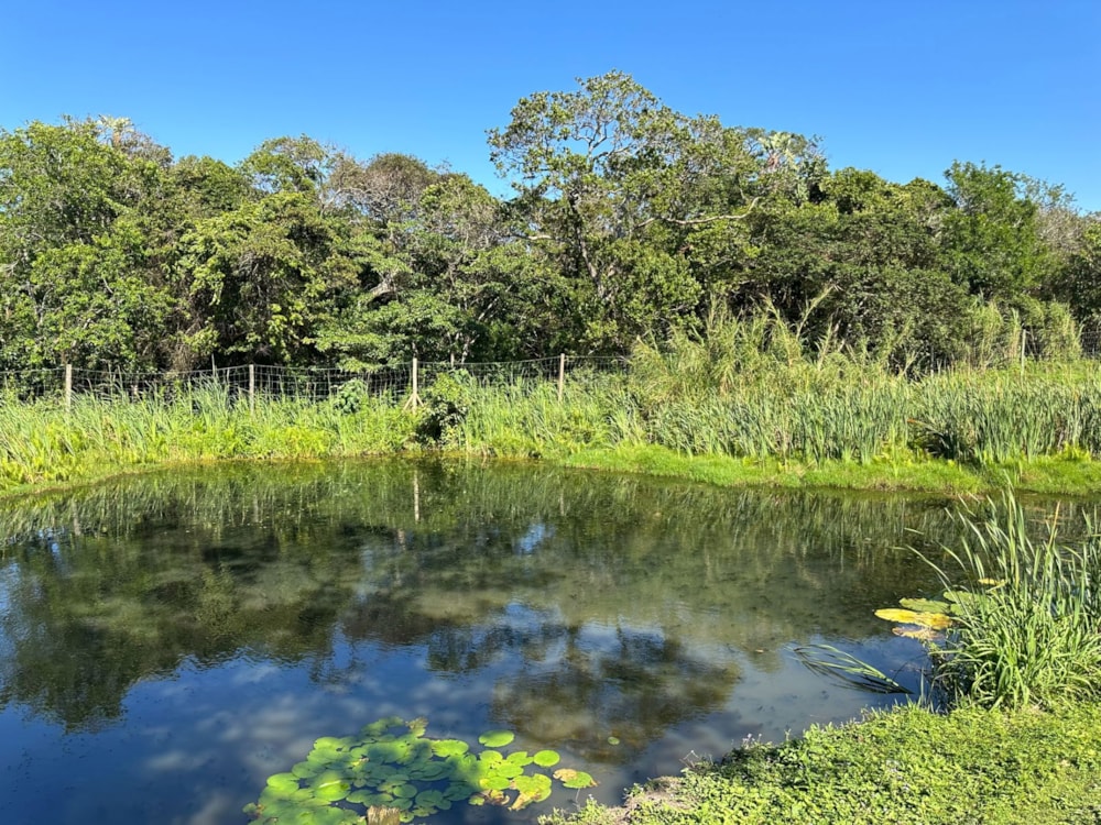 House for sale in Banners Rest - 1PD1676732 House for sale in Banners Rest - 1PD1676732